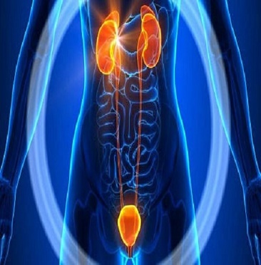 urological